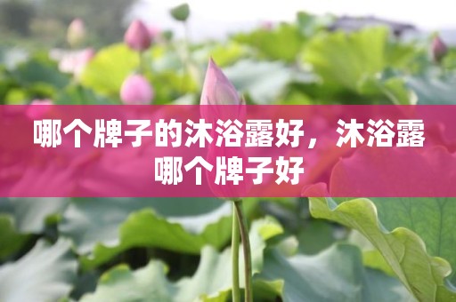 哪个牌子的沐浴露好，沐浴露哪个牌子好