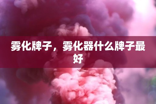 雾化牌子，雾化器什么牌子最好