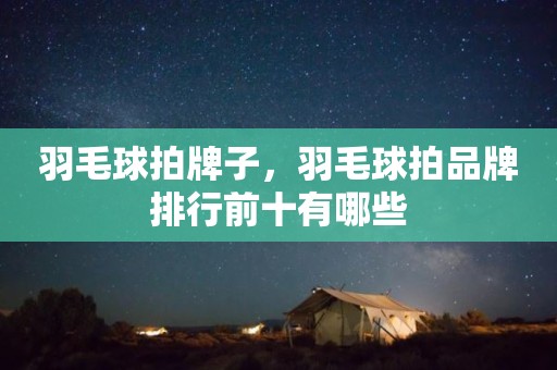 羽毛球拍牌子，羽毛球拍品牌排行前十有哪些