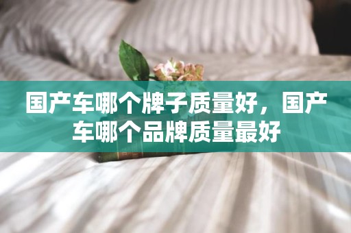 国产车哪个牌子质量好，国产车哪个品牌质量最好