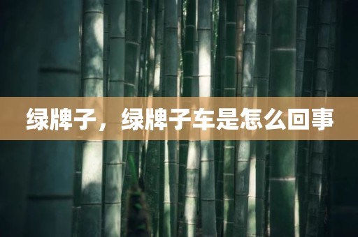 绿牌子，绿牌子车是怎么回事