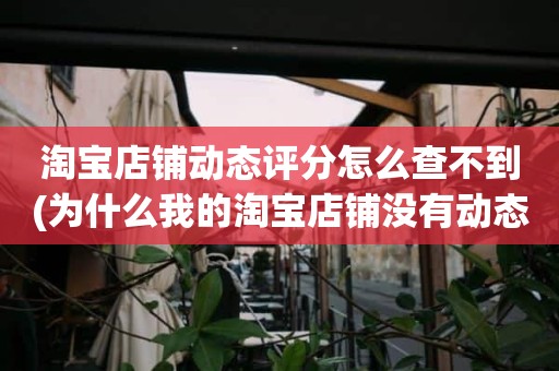 淘宝店铺动态评分怎么查不到(为什么我的淘宝店铺没有动态评分)