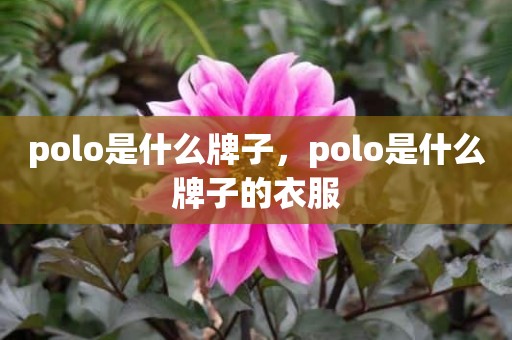 polo是什么牌子，polo是什么牌子的衣服
