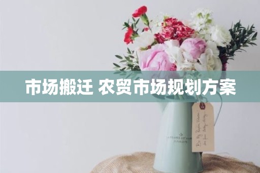 市场搬迁 农贸市场规划方案
