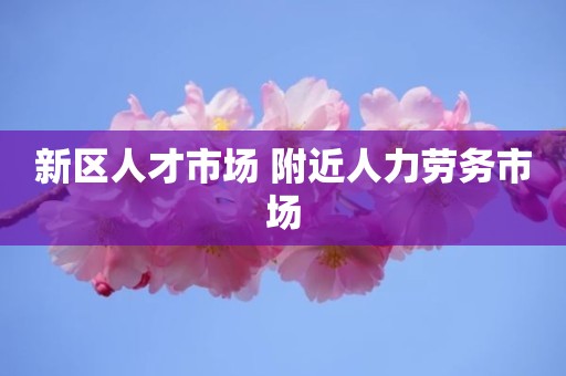新区人才市场 附近人力劳务市场
