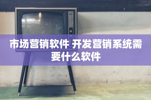 市场营销软件 开发营销系统需要什么软件