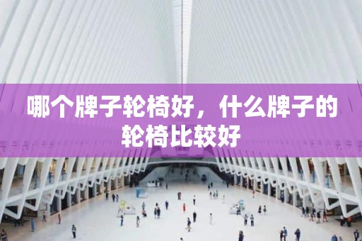 哪个牌子轮椅好，什么牌子的轮椅比较好