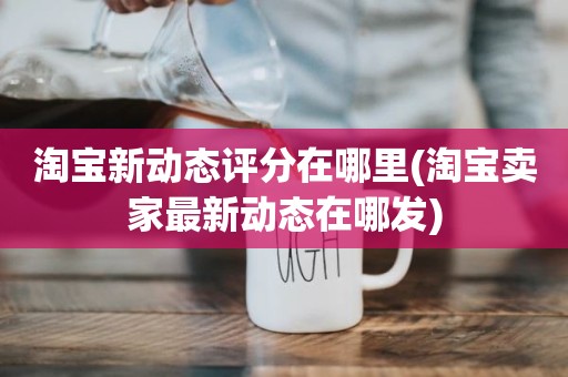 淘宝新动态评分在哪里(淘宝卖家最新动态在哪发)