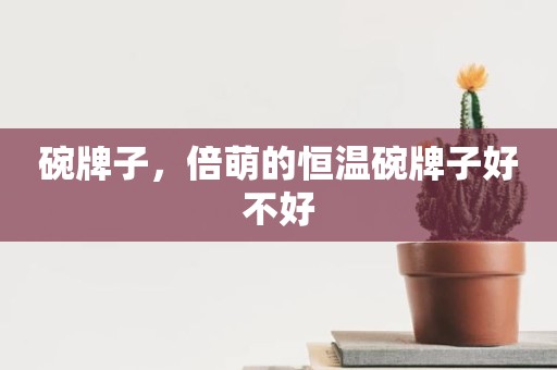 碗牌子，倍萌的恒温碗牌子好不好