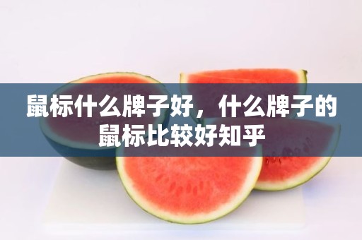 鼠标什么牌子好，什么牌子的鼠标比较好知乎