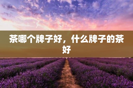 茶哪个牌子好，什么牌子的茶好