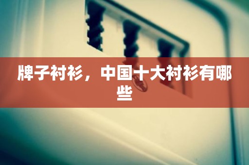 牌子衬衫，中国十大衬衫有哪些