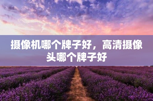 摄像机哪个牌子好，高清摄像头哪个牌子好