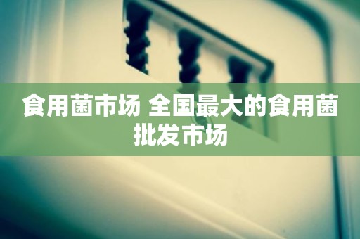 食用菌市场 全国最大的食用菌批发市场