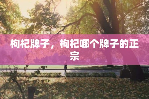 枸杞牌子，枸杞哪个牌子的正宗
