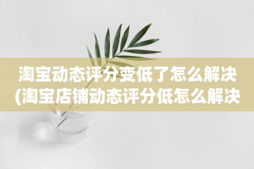 淘宝动态评分变低了怎么解决(淘宝店铺动态评分低怎么解决)