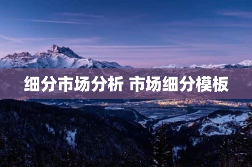 细分市场分析 市场细分模板