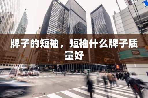 牌子的短袖，短袖什么牌子质量好
