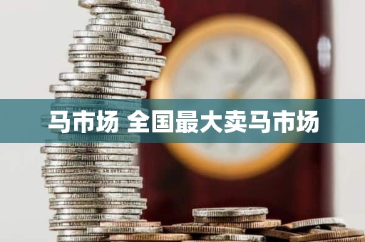 马市场 全国最大卖马市场