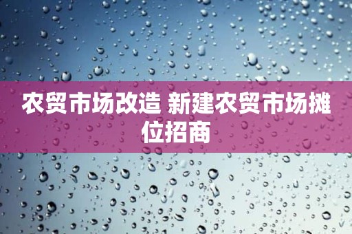 农贸市场改造 新建农贸市场摊位招商