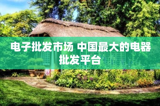 电子批发市场 中国最大的电器批发平台