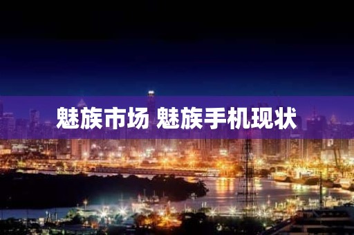 魅族市场 魅族手机现状