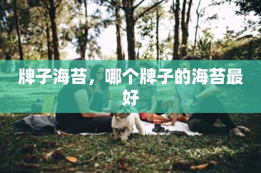 牌子海苔，哪个牌子的海苔最好