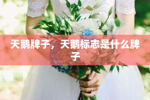 天鹅牌子，天鹅标志是什么牌子