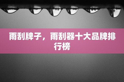 雨刮牌子，雨刮器十大品牌排行榜