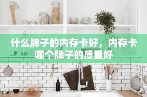 什么牌子的内存卡好，内存卡哪个牌子的质量好