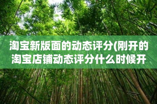 淘宝新版面的动态评分(刚开的淘宝店铺动态评分什么时候开始显示)