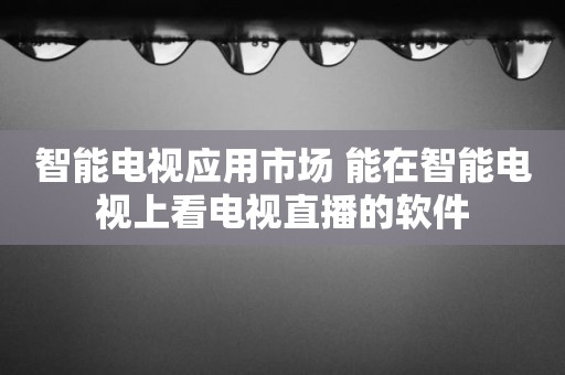 智能电视应用市场 能在智能电视上看电视直播的软件