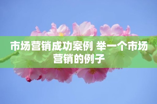 市场营销成功案例 举一个市场营销的例子