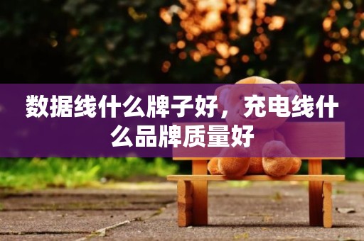 数据线什么牌子好，充电线什么品牌质量好