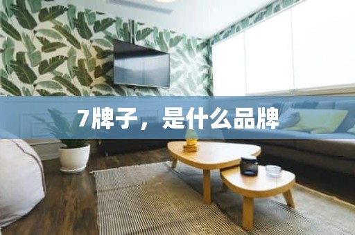 7牌子，是什么品牌