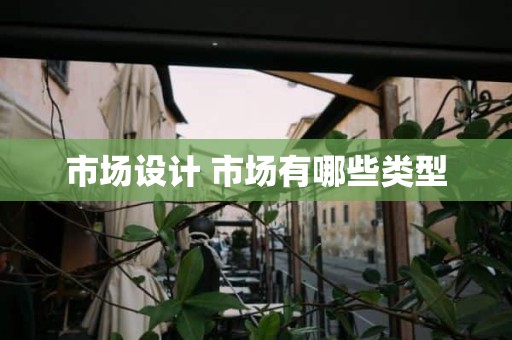 市场设计 市场有哪些类型