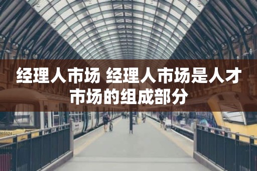 经理人市场 经理人市场是人才市场的组成部分
