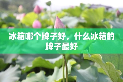 冰箱哪个牌子好，什么冰箱的牌子最好