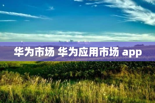 华为市场 华为应用市场 app