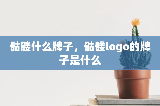 骷髅什么牌子，骷髅logo的牌子是什么