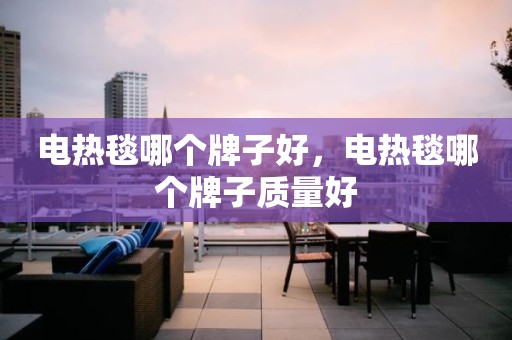 电热毯哪个牌子好，电热毯哪个牌子质量好