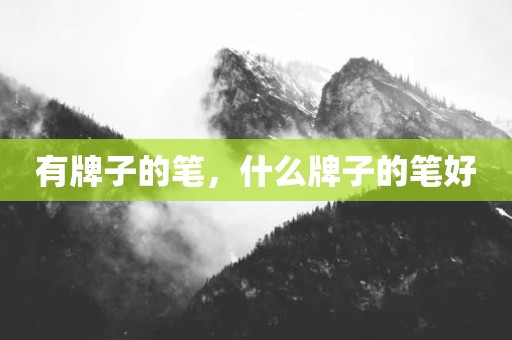 有牌子的笔，什么牌子的笔好