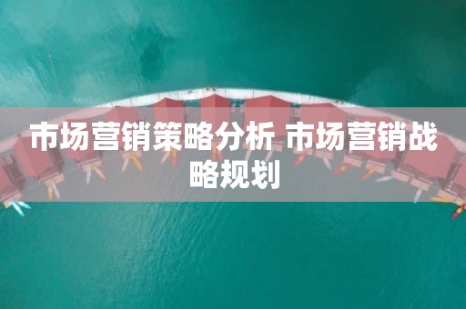 市场营销策略分析 市场营销战略规划