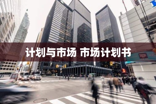 计划与市场 市场计划书