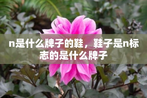n是什么牌子的鞋，鞋子是n标志的是什么牌子