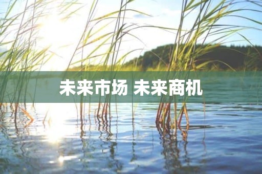 未来市场 未来商机