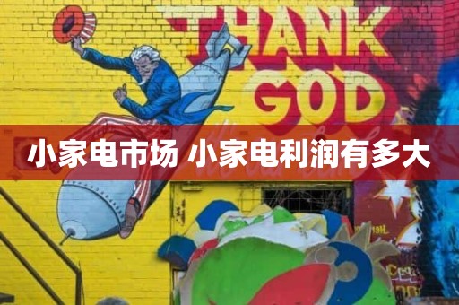 小家电市场 小家电利润有多大