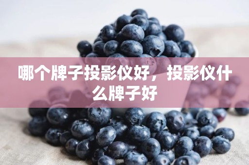 哪个牌子投影仪好，投影仪什么牌子好