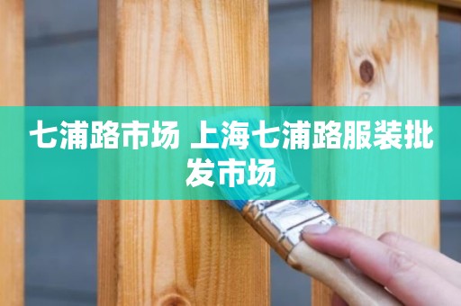 七浦路市场 上海七浦路服装批发市场
