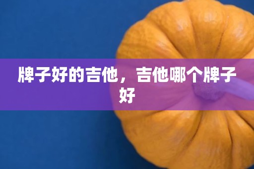 牌子好的吉他，吉他哪个牌子好